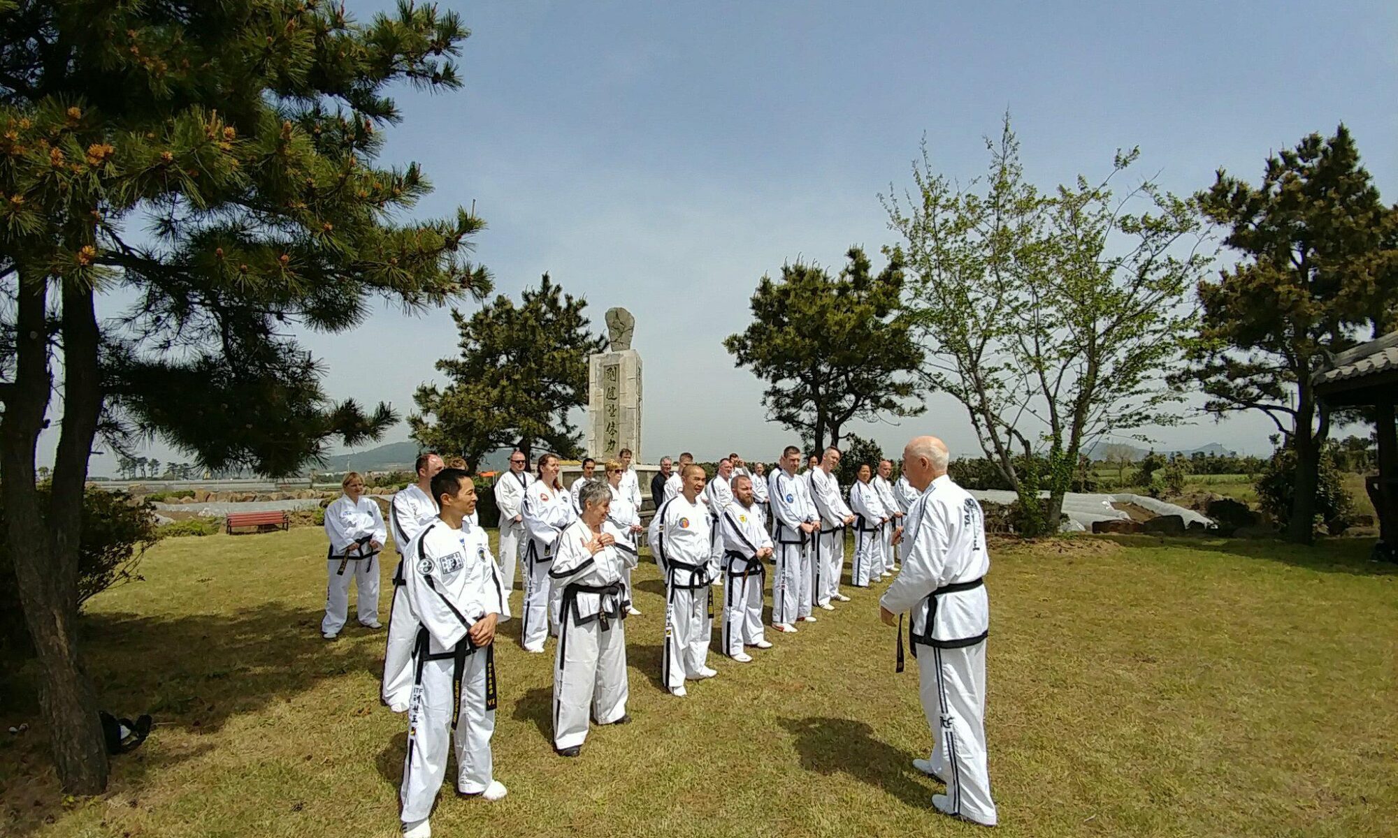 Martial artists standing in formation