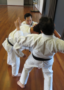 Bassai Bunkai for Multiple Opponents